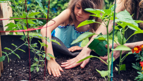 Gibt es bald einen Garten-Service von Amazon?