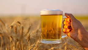 Stiftung Warentest: Glyphosat in alkoholfreiem Bier