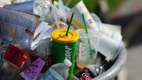 Plastikverbot: So will die EU Strohhalmen an den Kragen
