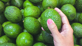 Avocado sorgt für Polizeieinsatz bei Lidl
