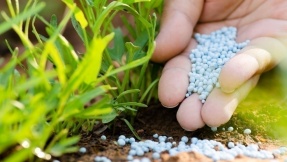 Welches Düngemittel versorgt Ihren Garten am besten?