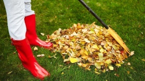 Rasenpflege im Herbst: Fit für den Winter