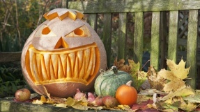 Halloween im Garten: Tolle Ideen für draußen