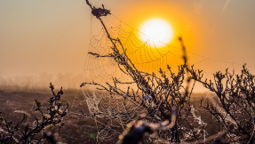 Beeindruckende Bilder: Die besten Naturfotos 2017