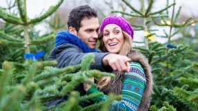 Weihnachtsbaum kaufen: Welcher ist der richtige?