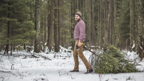 Weihnachtsbaum selber schlagen: Das müssen Sie wissen