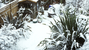 Kampf gegen Frost: So beugen Sie Winterschäden vor