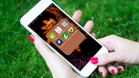 Die 10 wichtigsten Apps für die Gartensaison