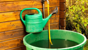 Kostenloses eBook: Regenwasser richtig nutzen