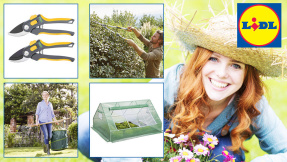 Lidl-Schnäppchen für Haus und Garten