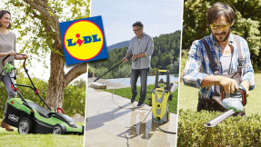 Garten-Bändiger: Schnäppchen satt bei Lidl