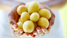 Mit diesen Rezepten wird die Kartoffel zur Star-Beilage
