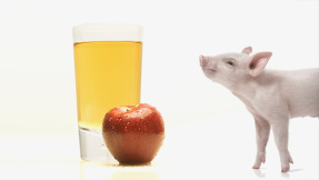 Schwein gehabt!, sagte der Apfelsaft