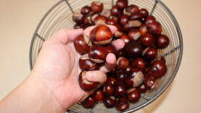 Ökologisch putzen, waschen, pflegen und dekorieren