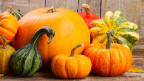 Mit diesen Kürbis-Rezepten starten Sie in den Herbst