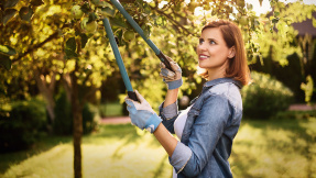 Herbstpflege: Das braucht Ihr Garten jetzt noch