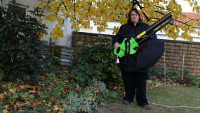 Kampf dem Herbstlaub: 50-Euro-Laubsauger im Test