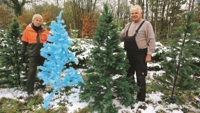 Künstliche Weihnachtsbäume im Test