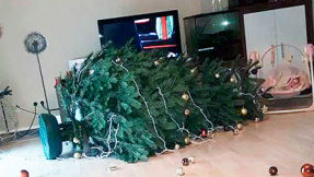 Weihnachtsbäume satt: So schmückt Deutschland