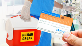 Eigentlich wollen sie: Darum spenden die Deutschen weniger Organe