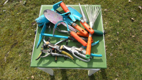 Gartenarbeit im März  das sollten Sie jetzt erledigen!