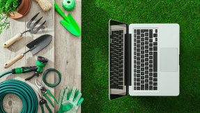 Garten-Versender im Test: Amazon bügelt die Konkurrenz!