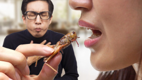 Achtung, eklig: Diese Delikatessen sind speziell!