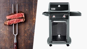 Gasgrill Weber Spirit EO-210 im Test