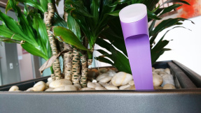 Clever: Smarter Sensor verhindert Pflanzensterben