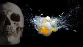Grenzwertig: Wie gefährlich waren die Fipronil-Eier wirklich?