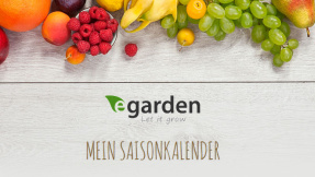 Der eGarden-Saisonkalender