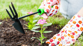 Die passende Gartenhacke für jede Gartenarbeit