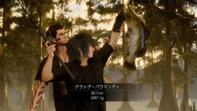 Final Fantasy 15: PETA prangert Spiel an