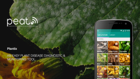 Digitaler Pflanzendoc: Plantix-App hilft mit künstlicher Intelligenz