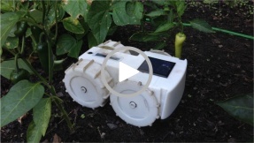 Tertill: Roomba-Mitgründer lässt Roboter Unkraut jäten