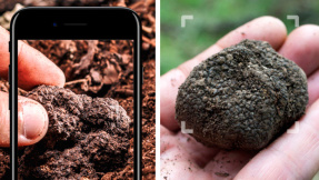 Achtung: Diese App kann tödlich für Nutzer sein!