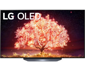 OLED55B19LA