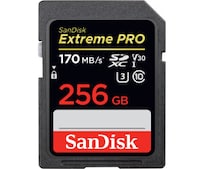 Extreme Pro (2018) SDXC 256GB