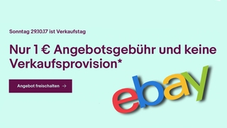 Ebay: Verkaufstag