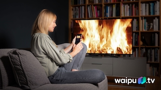Waipu.tv in HD: Drei Monate kostenlos sichern!