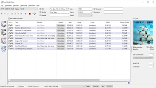 Screenshot aus Exact Audio Copy (EAC)
