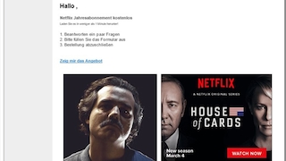 Netflix Fake-Mail