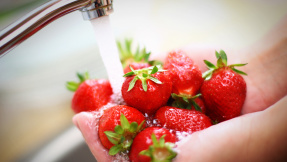 Darum gehören Erdbeeren nie unter fließendes Wasser