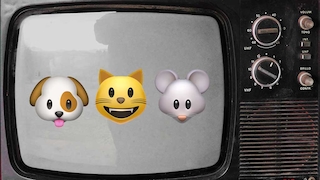 Fernseher mit Hund, Katze, Maus