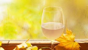 Federweißer: Darum lieben wir den jungen Wein