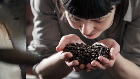 Der beste Kaffee: 10 Kaffeevollautomaten im Test