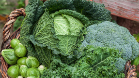 Richtig gut: Diese Kohl-Rezepte sind einfach genial