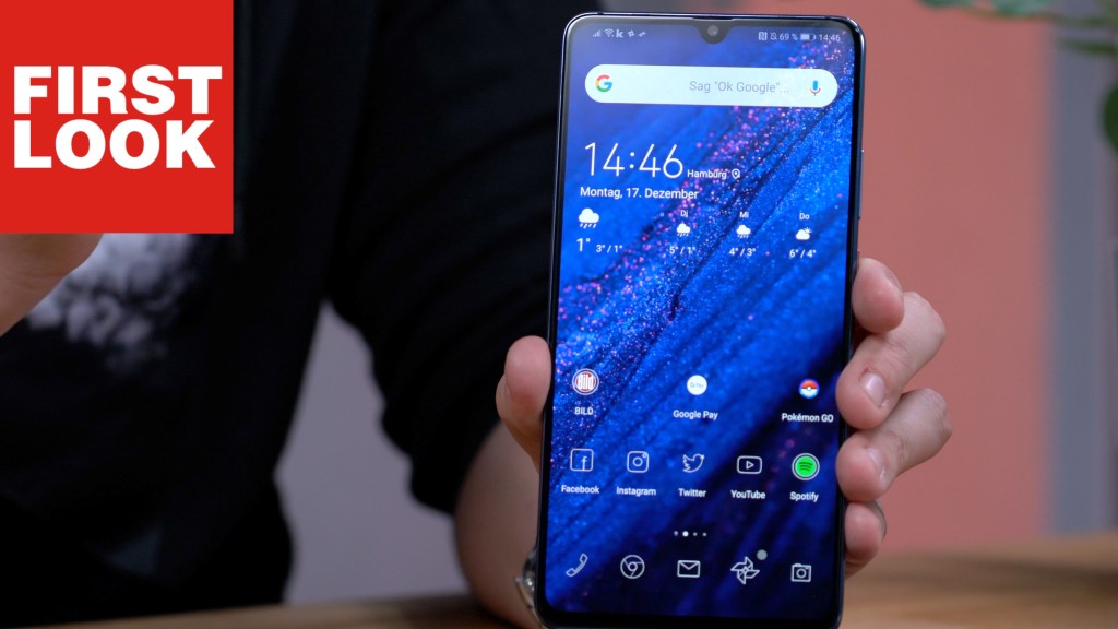 mate 20 x