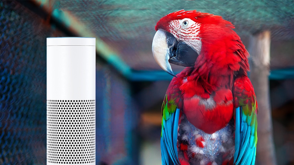 Amazon Alexa, Papagei