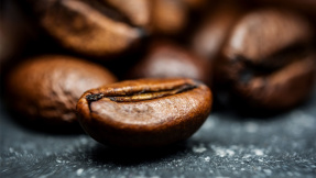 Jetzt wird’s ernst: Kaffee stirbt durch Klimawandel<br />